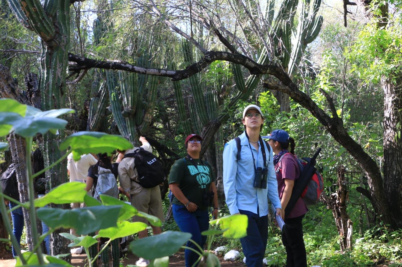 Invitan al Segundo Festival de Aves del Santuario de Los Cactus en Ejido El Rosario