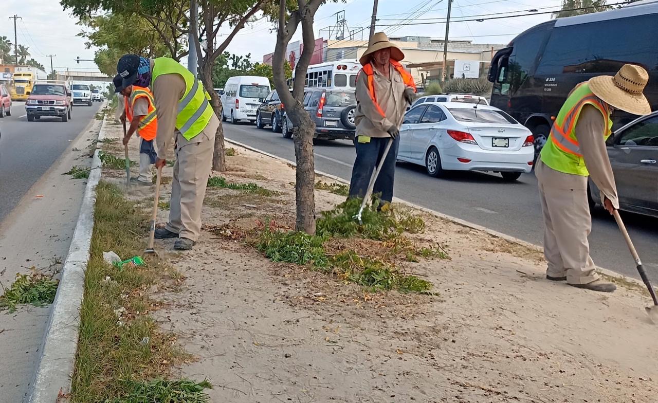 Refuerza Servicios Públicos el mantenimiento en camellones