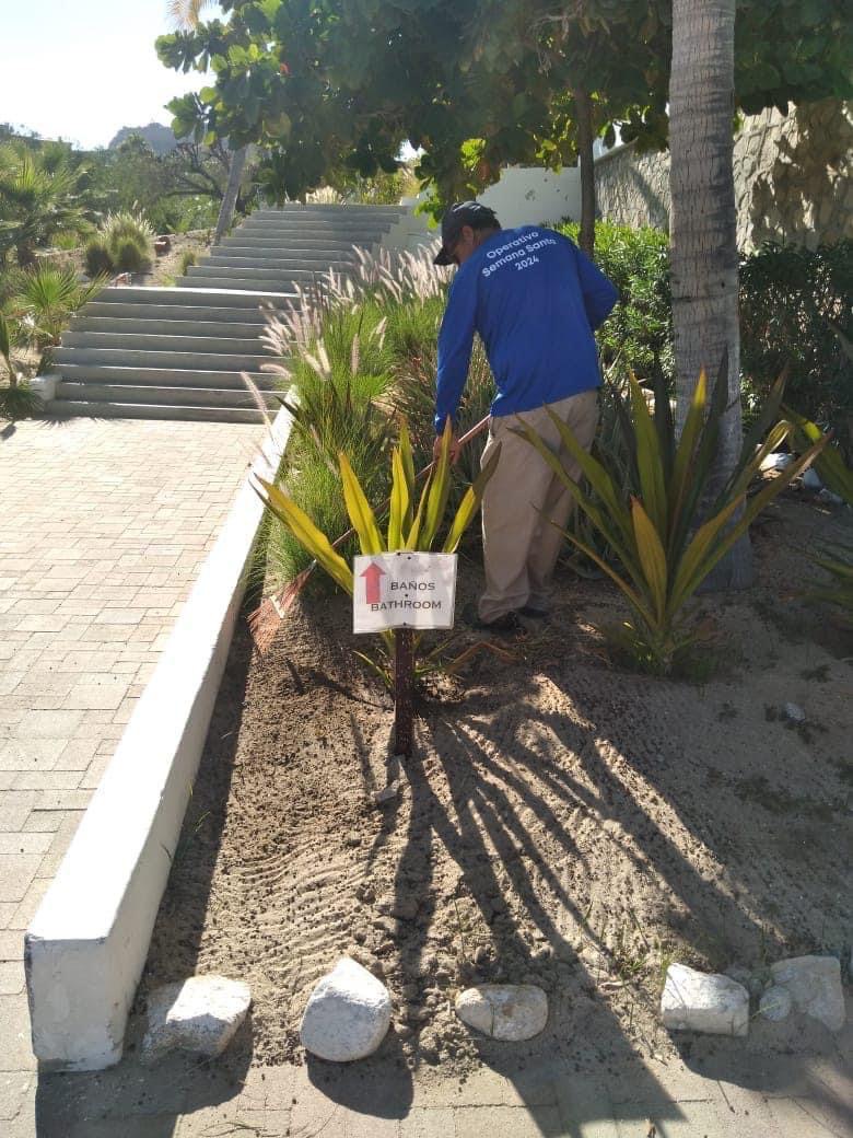 Refuerza Zofemat acciones de limpieza para la conservación de playas de Los Cabos