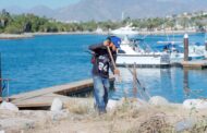 Realizan jornada de limpieza y rehabilitación en la comunidad de La Playa, en San José del Cabo