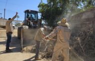 Continúa recolección de ramas y cacharros en San José del Cabo para evitar dengue