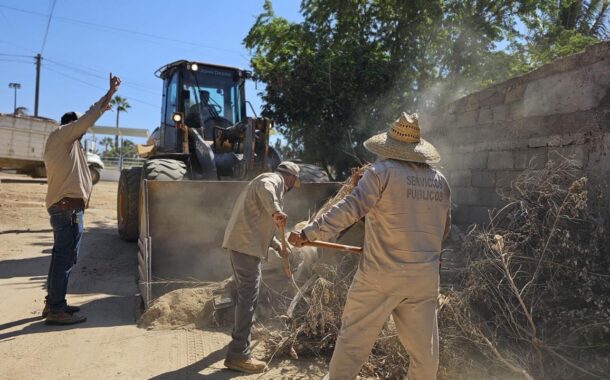 Continúa recolección de ramas y cacharros en San José del Cabo para evitar dengue