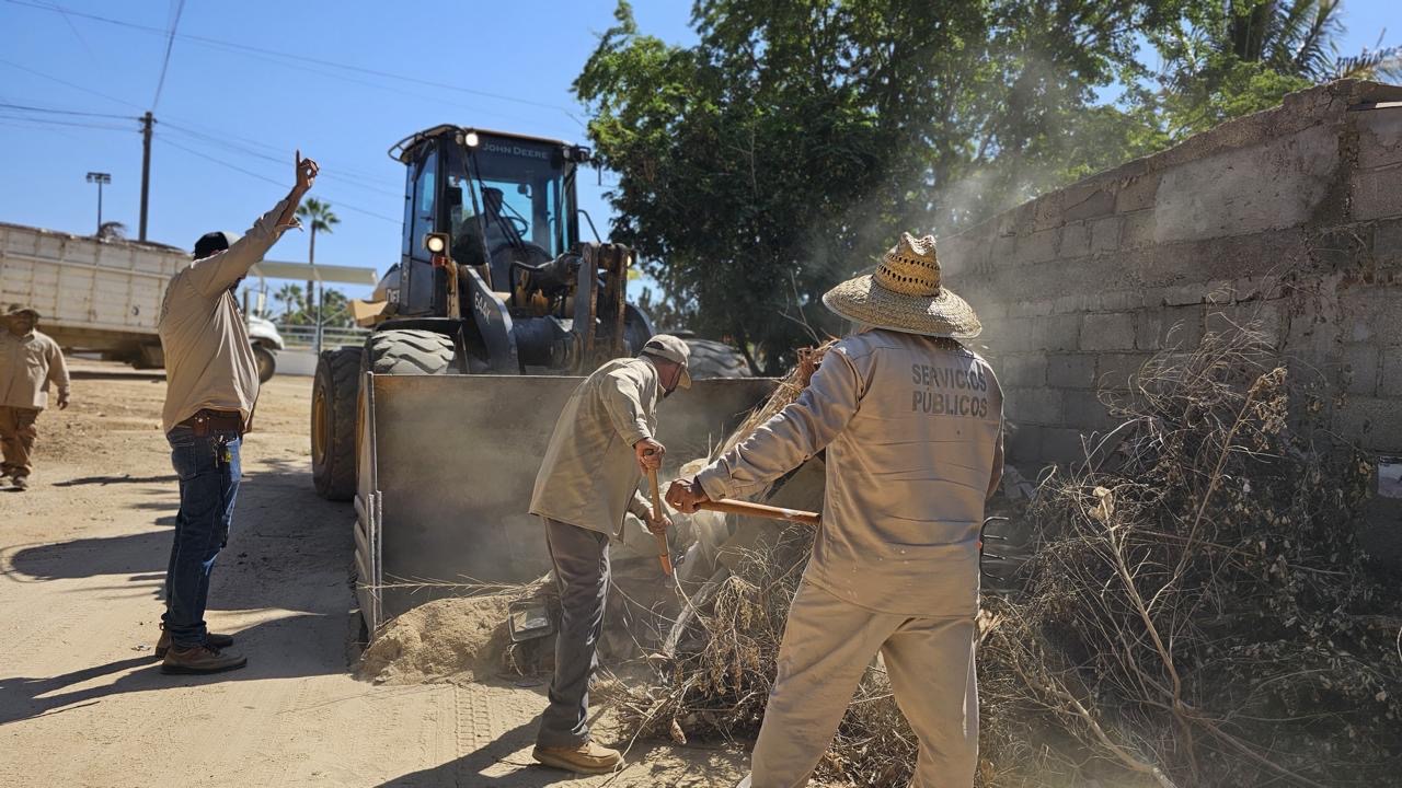 Continúa recolección de ramas y cacharros en San José del Cabo para evitar dengue