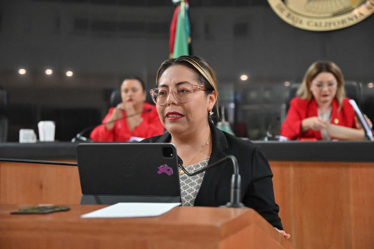 Que el FOIS de Mulegé adquiera camiones recolectores de basura y luminarias: diputada Teresita Valentín