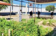 Adolescentes internos del CIEA, son capacitados por la Brigada de Educación Forestal No. 55