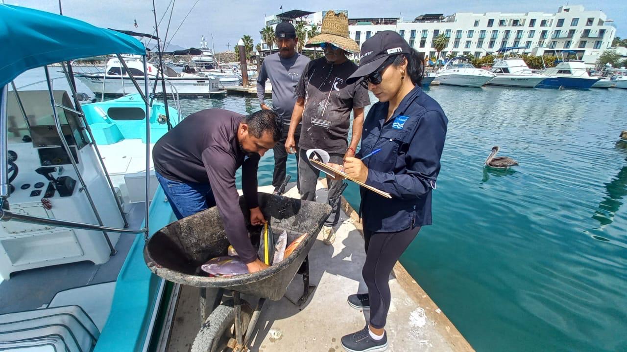 En marcha el programa de medición de pesca de IMIPAS-FONMAR