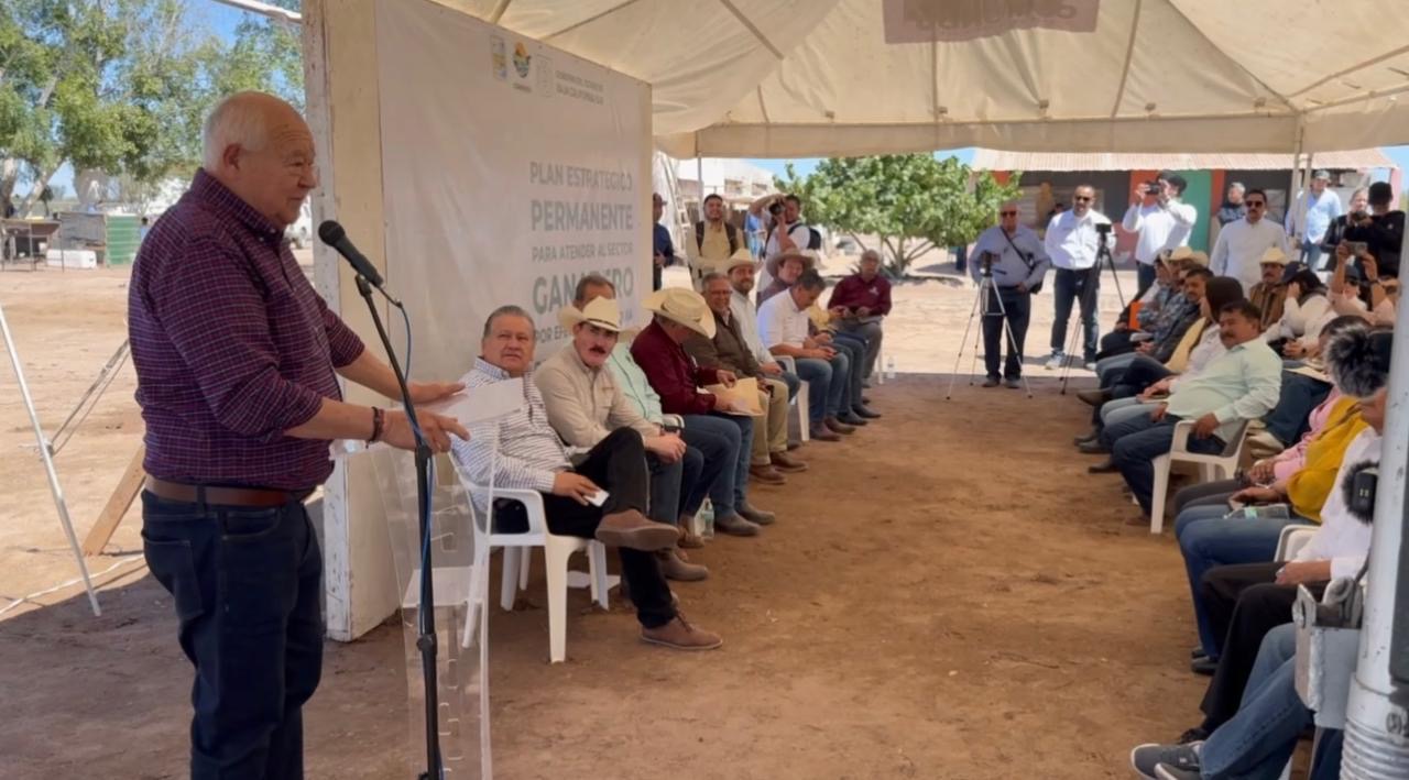 En marcha la primera siembra de forraje en Comondú: Víctor Castro