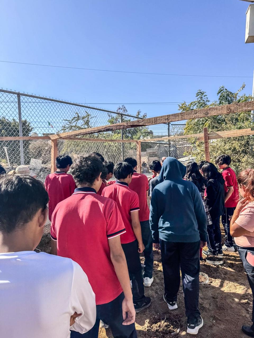 Concluyen con éxito primer huerto comunitario en Secundaria Técnica No. 19 de Cabo San Lucas