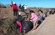 Llama delegada de Cabo San Lucas a notirar basura en carreteras; continúa campaña de limpieza