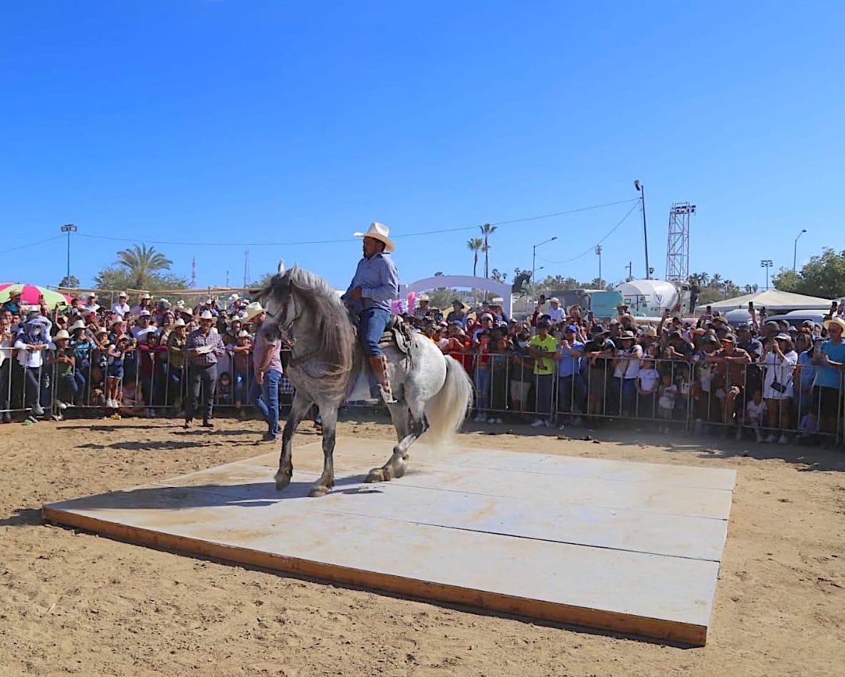 Invita Ayuntamiento de Los Cabos al concurso y exhibición “Caballos Bailadores”