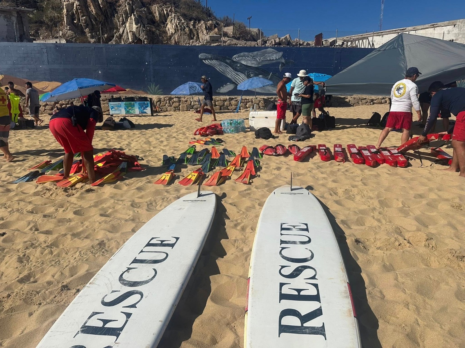 Celebran Bomberos de Cabo San Lucasalianza con la Federación Mexicana de Salvamento y Rescate Acuático