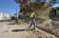 Recolectan más de 4 toneladas de residuos en el Fraccionamiento Campestre