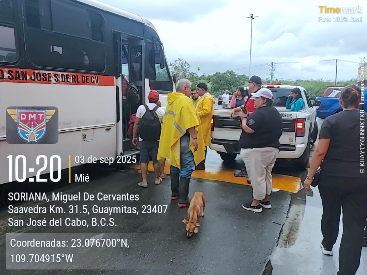 Refuerza Dirección Municipal de Transporte apoyo y acciones de rehabilitación tras lluvias en Los Cabos