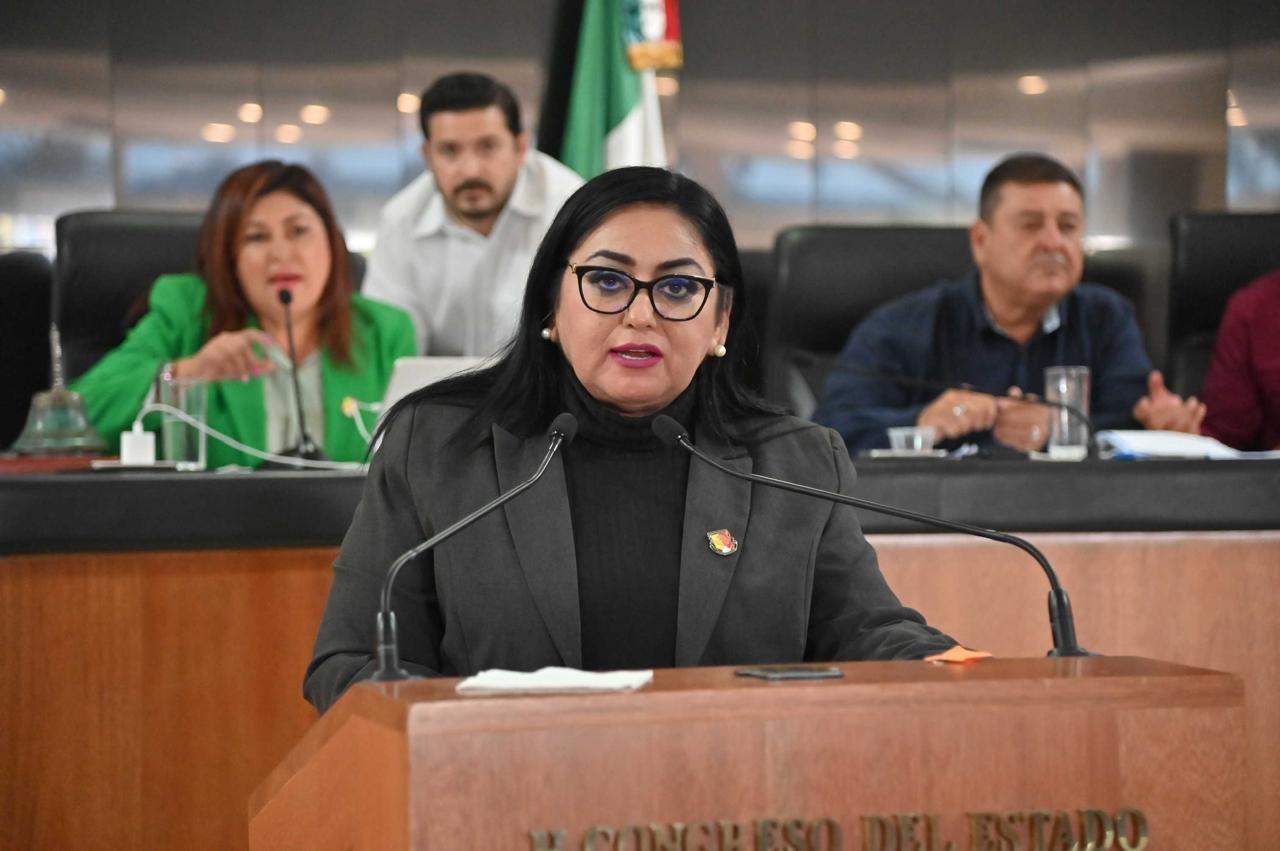 Proponen reformas para garantizar la implementación del “Turismo Accesible” en BCS