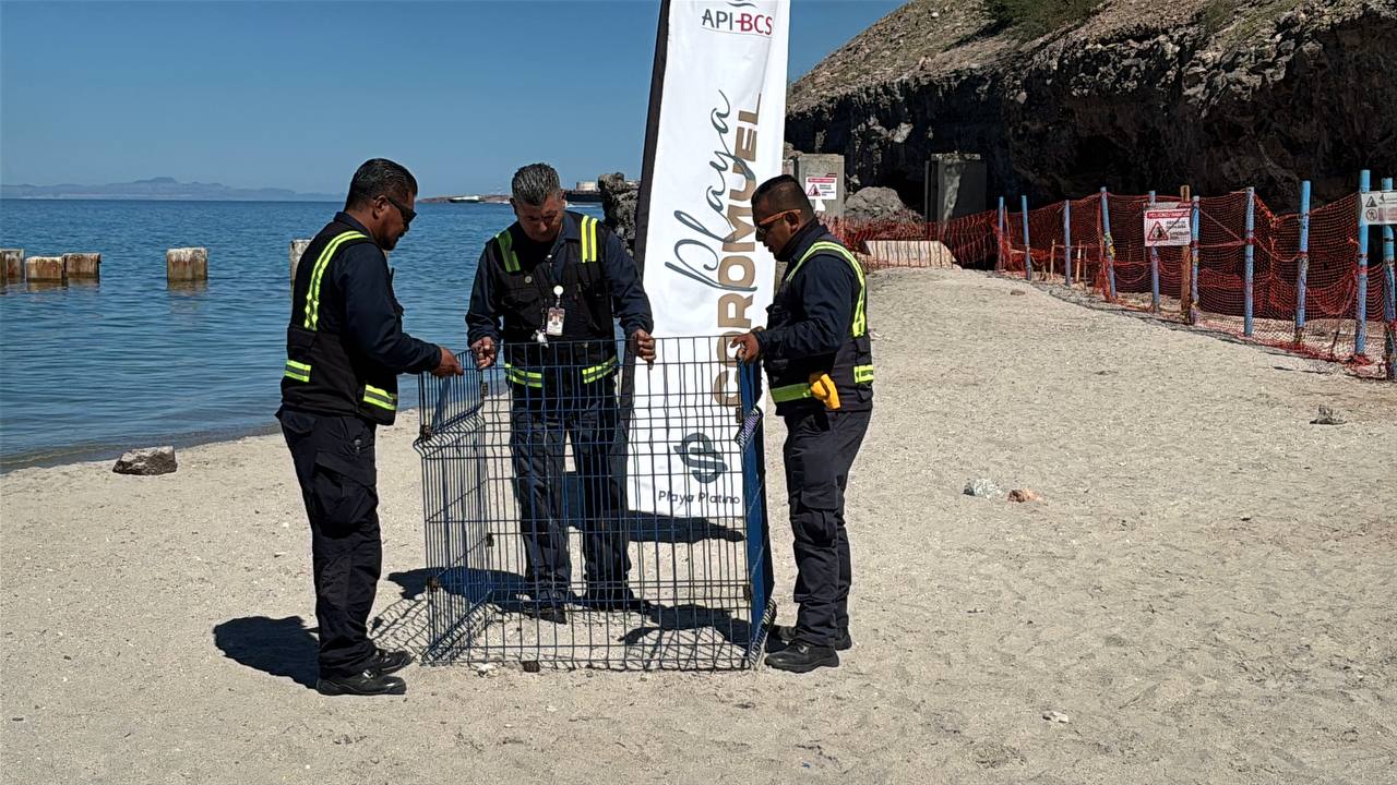 Playa El Coromuel, ejemplo de protección de la tortuga golfina en BCS