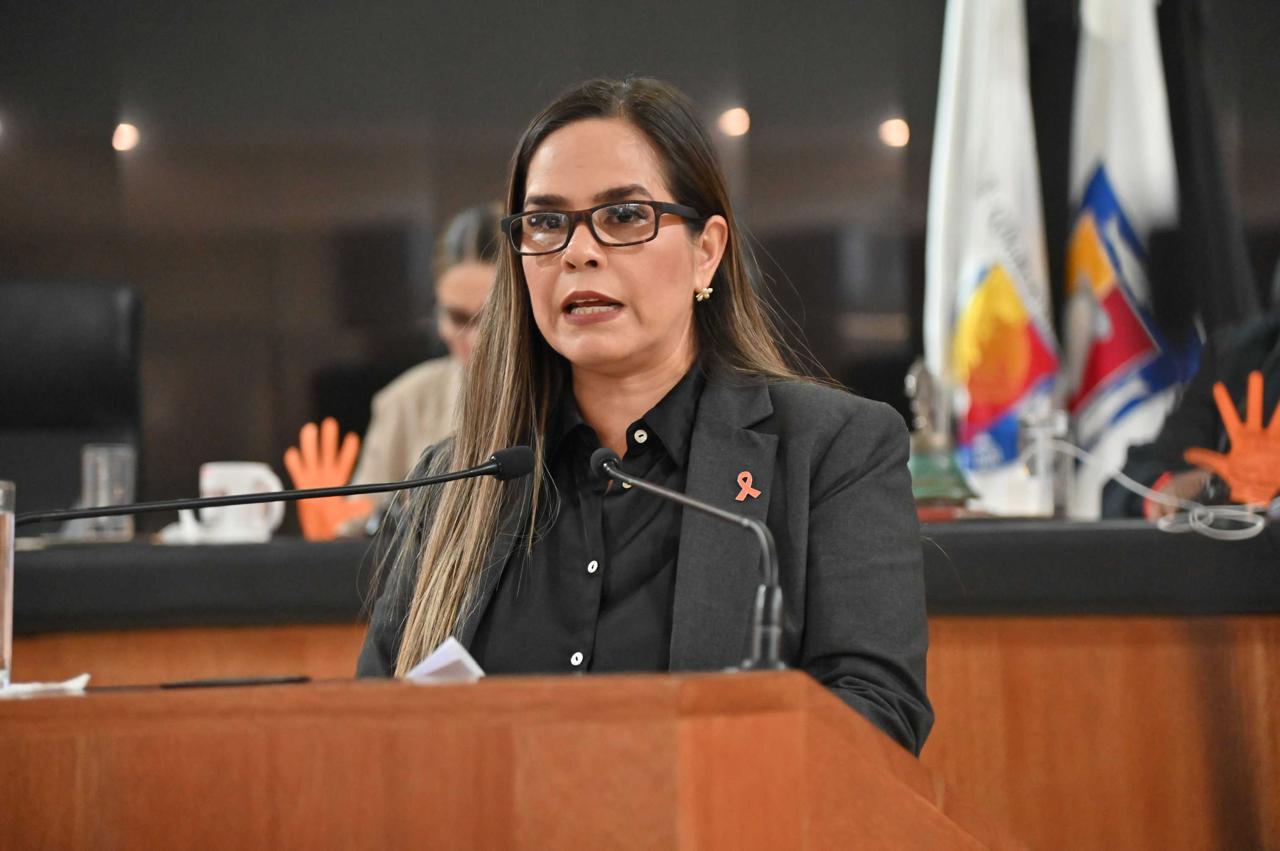 Impulsa diputada Gabriela Montoya iniciativa para tipificar delito de violencia de género en BCS