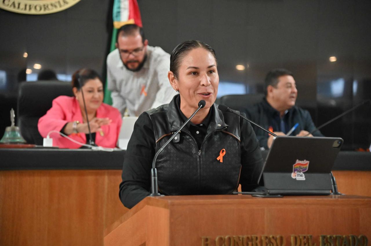 Aprueban exhortar al PJEBCS implemente Juzgados Especializados en Órdenes de Protección Victimal en Los Cabos, Comondú, Loreto y Mulegé