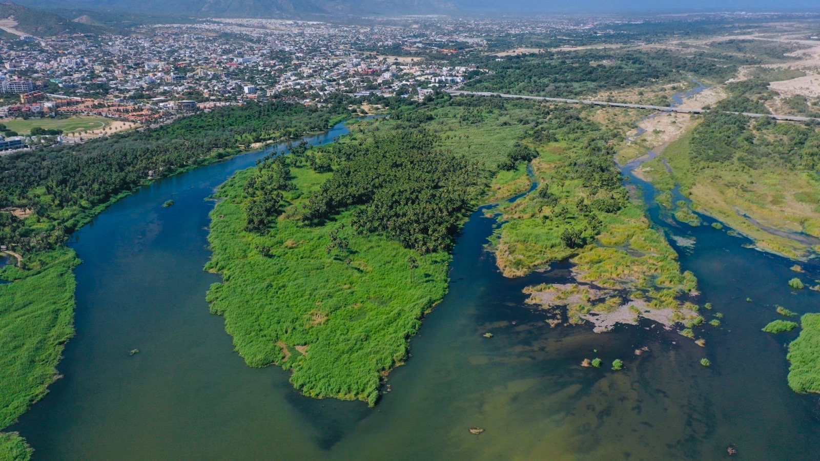 Reporta Los Cabos resultados clave en sostenibilidad ambiental y bienestar animal