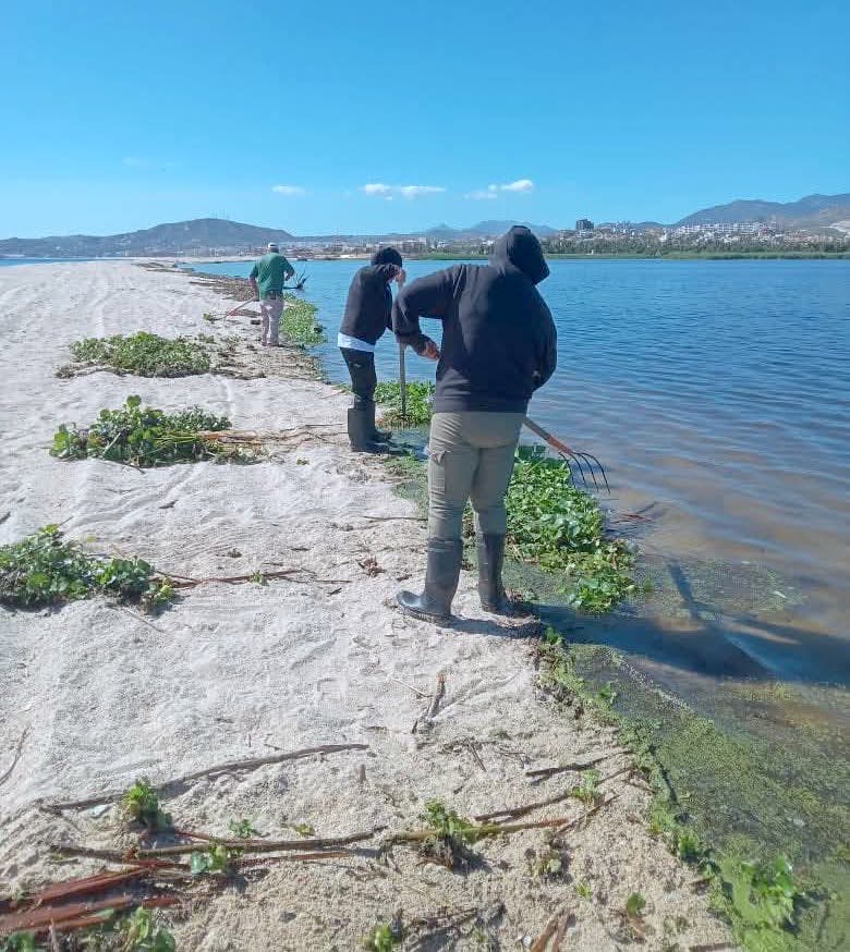 Acciones para la conservación del Estero josefino no se detienen; realiza Ecología una jornada más de limpieza