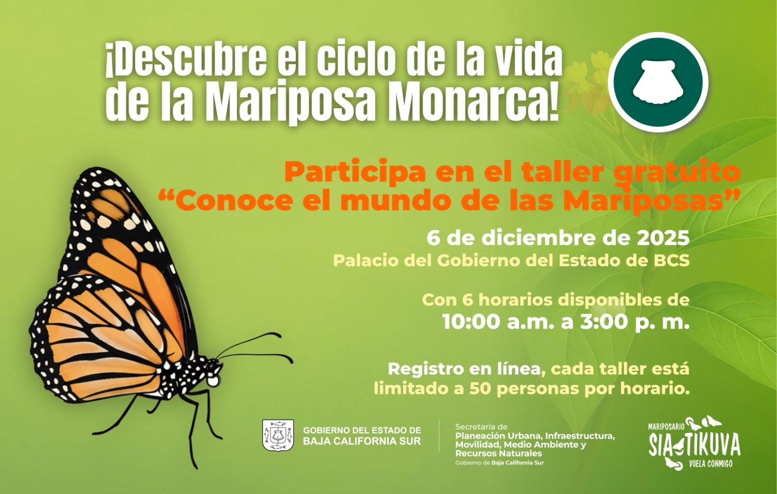 Invita SEPUIMM a participar este sábado 6 de diciembre en talleres del Mariposario