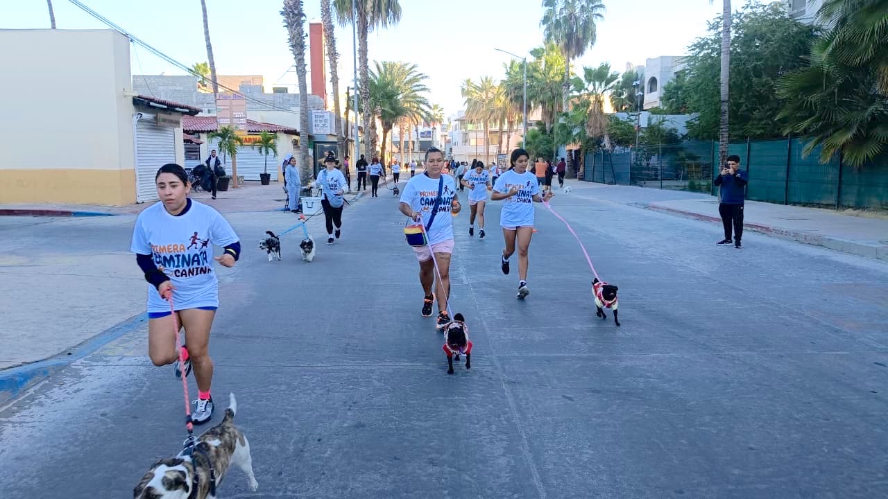 Celebran con éxito la Primera Caminata Canina en Cabo San Lucas