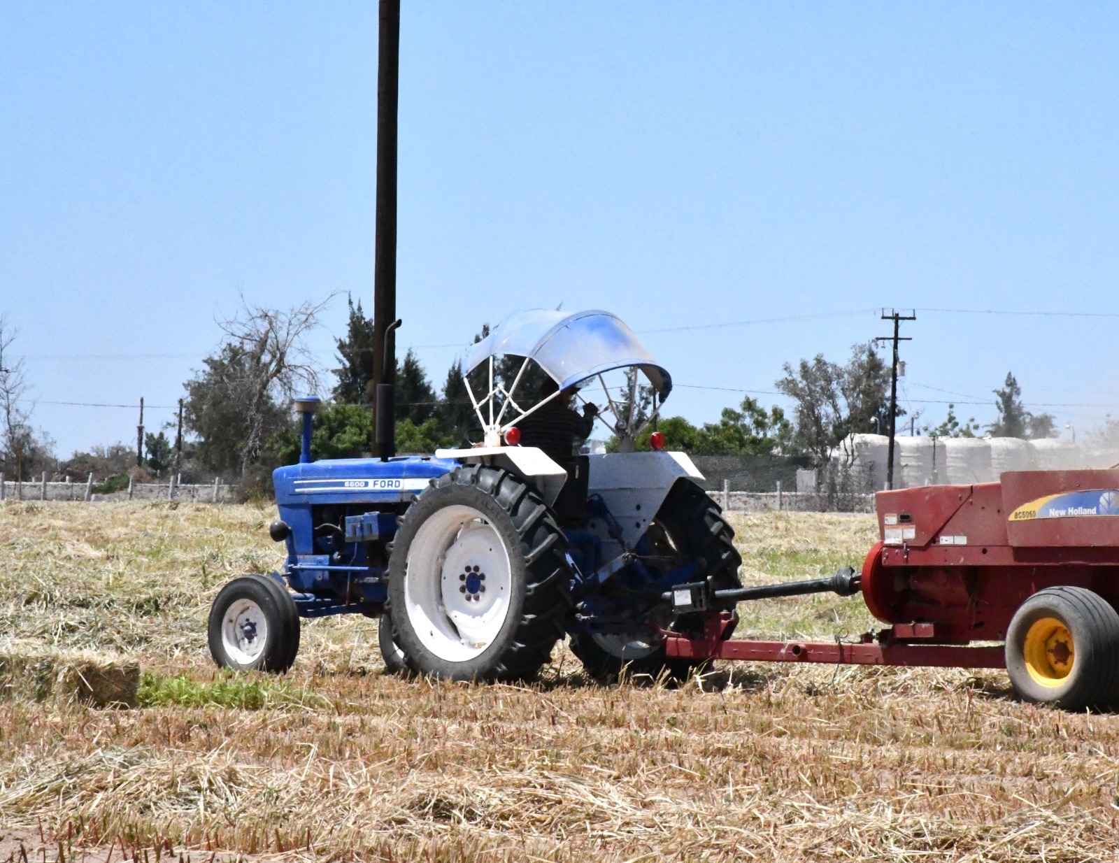 Anuncia SEPADA siembra de forraje para temporada primavera–verano en vivero del VSD