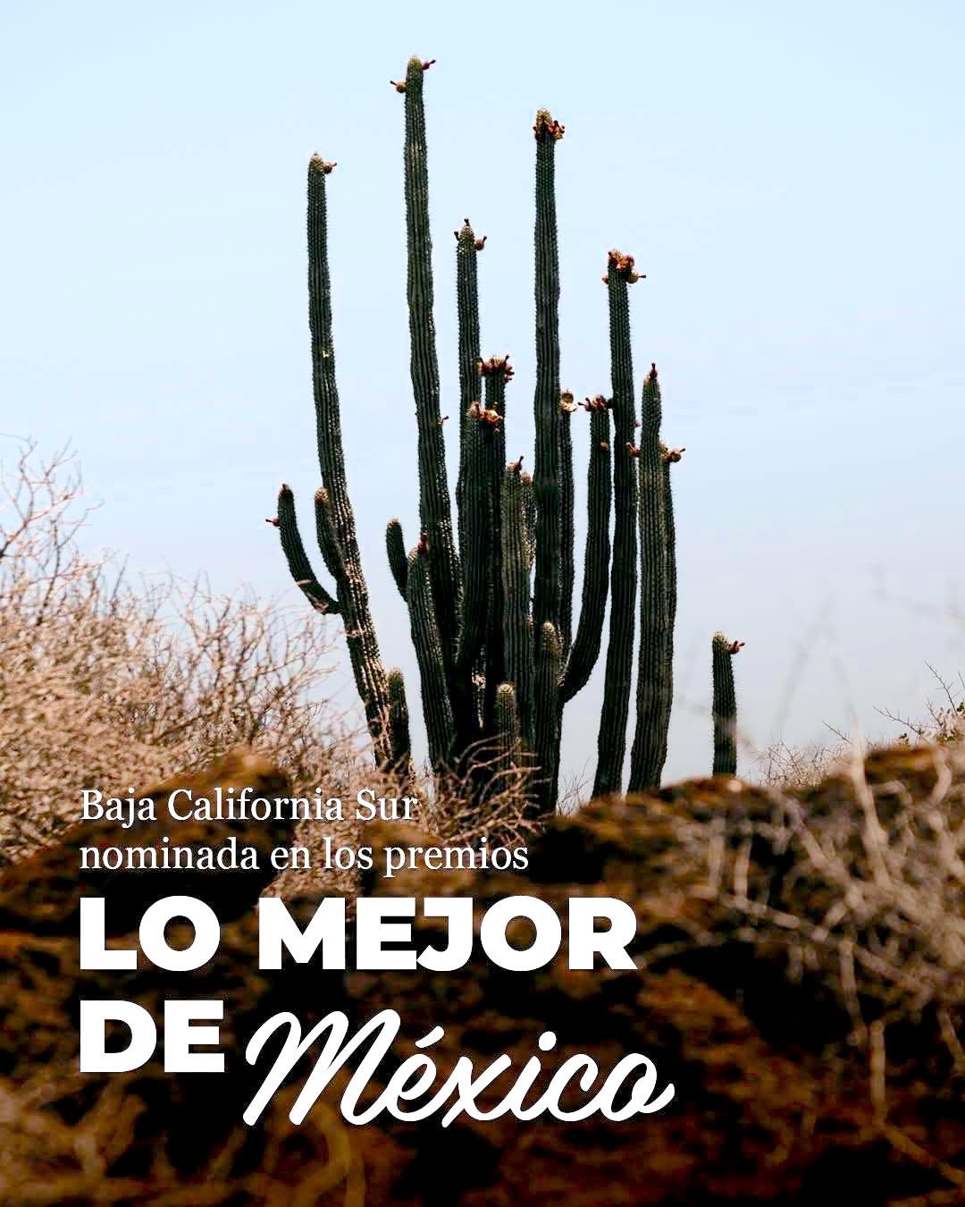 Último día para votar por Los Cabos en “Lo Mejor de México 2026”