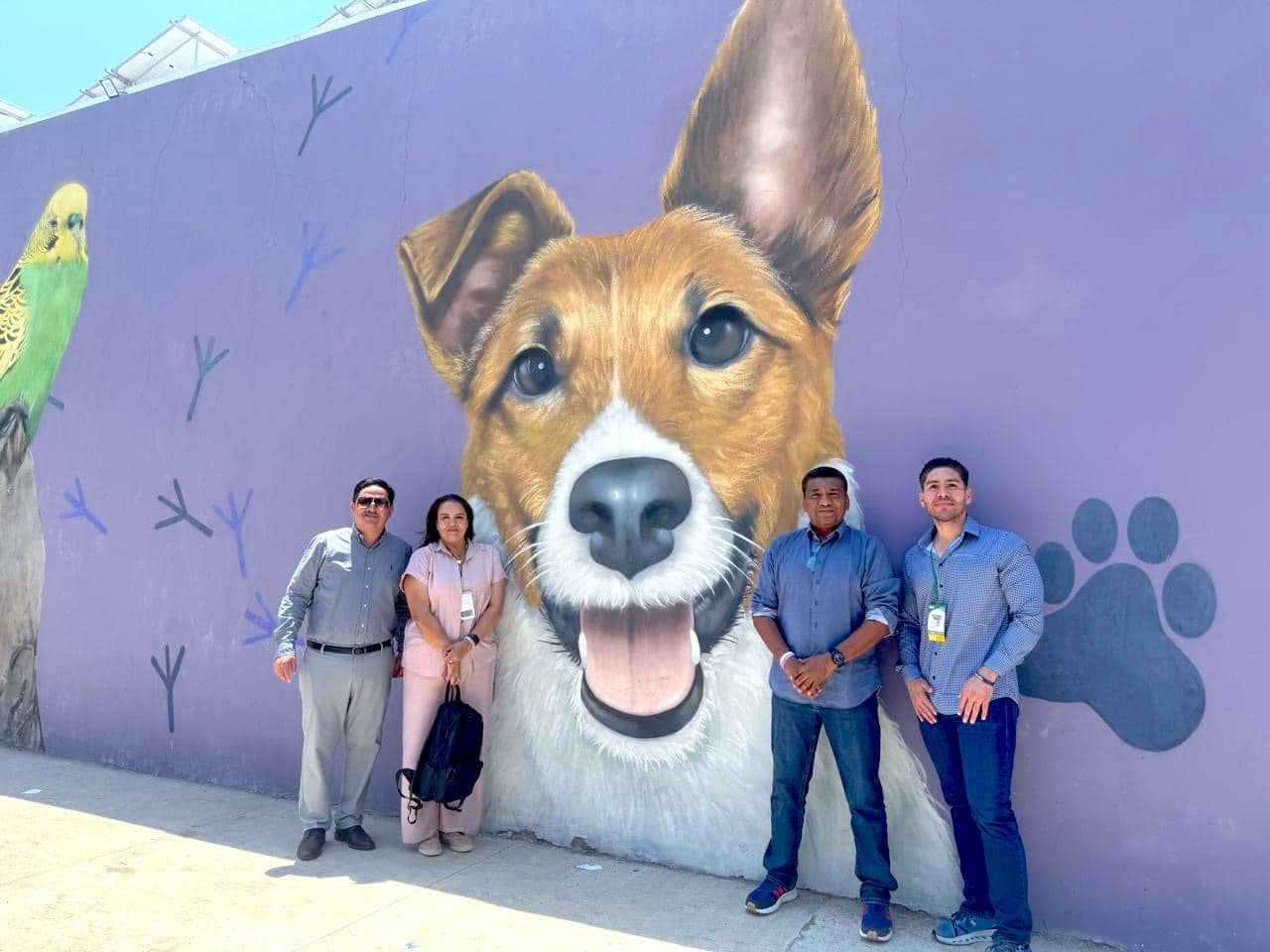 Refuerza Los Cabos procesos operativos rumbo a la apertura del Centro de Atención y Bienestar Animal
