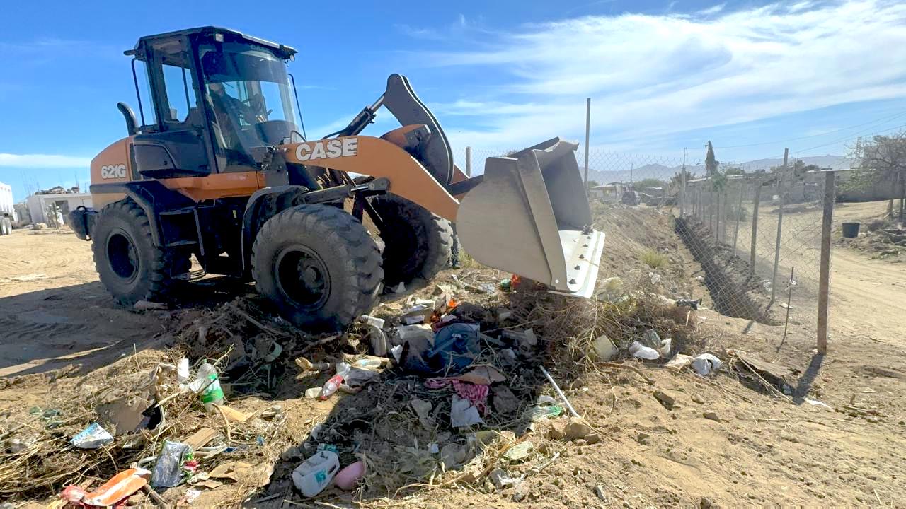 Servicios Públicos de Los Cabos inicia programa permanente de descacharrización