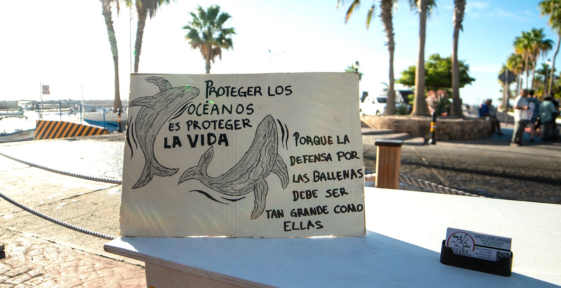 BALCONEANDO / ¿Y EL EQUILIBRIO MARINO?