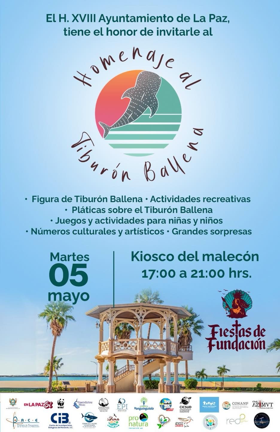 Asiste al Homenaje al Tiburón Ballena 2026, símbolo de identidad en La Paz