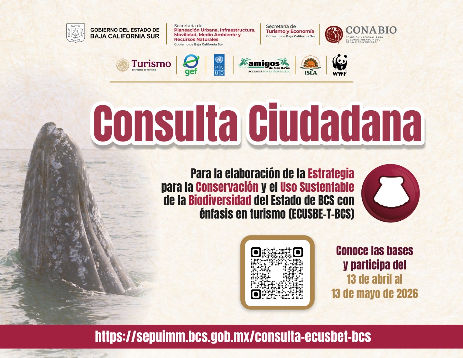 Gobierno de BCS convoca a consulta ciudadana para definir estrategia de conservación de la biodiversidad