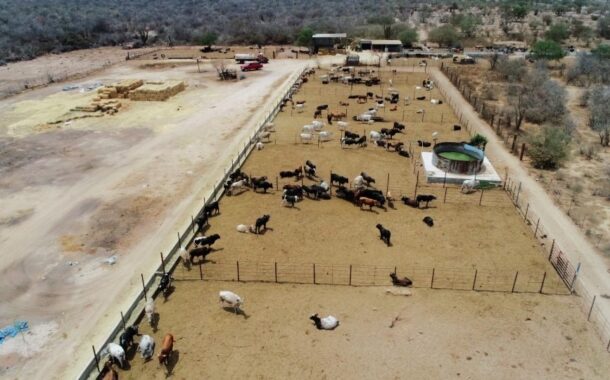 SEPADA impulsa acciones para fortalecer al sector primario en Los Cabos