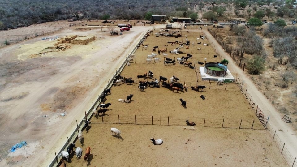 SEPADA impulsa acciones para fortalecer al sector primario en Los Cabos