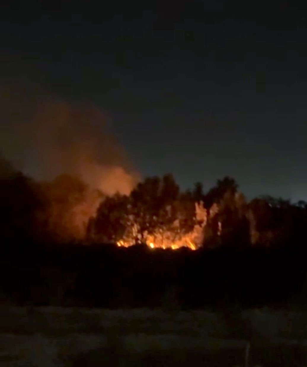 Brigadas municipales logran extinción de incendio en inmediaciones del Estero Josefino