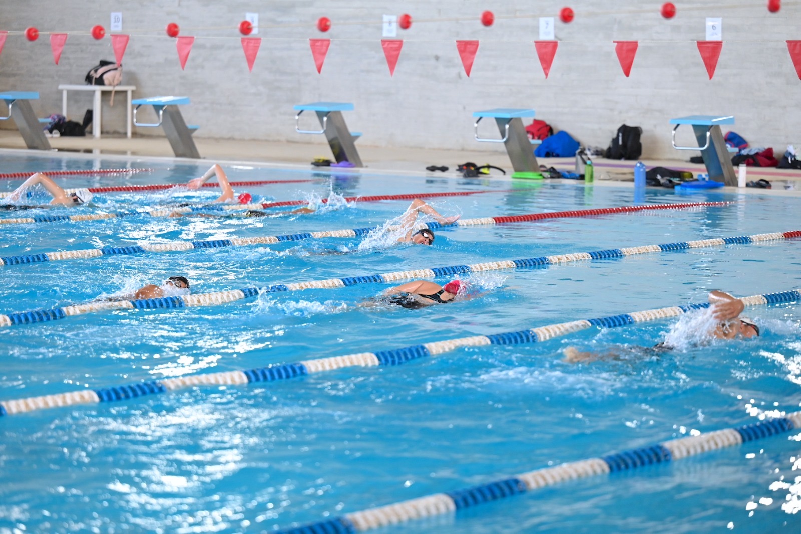 Cabo San Lucas será sede de la primera Copa de Natación “Don Koll”