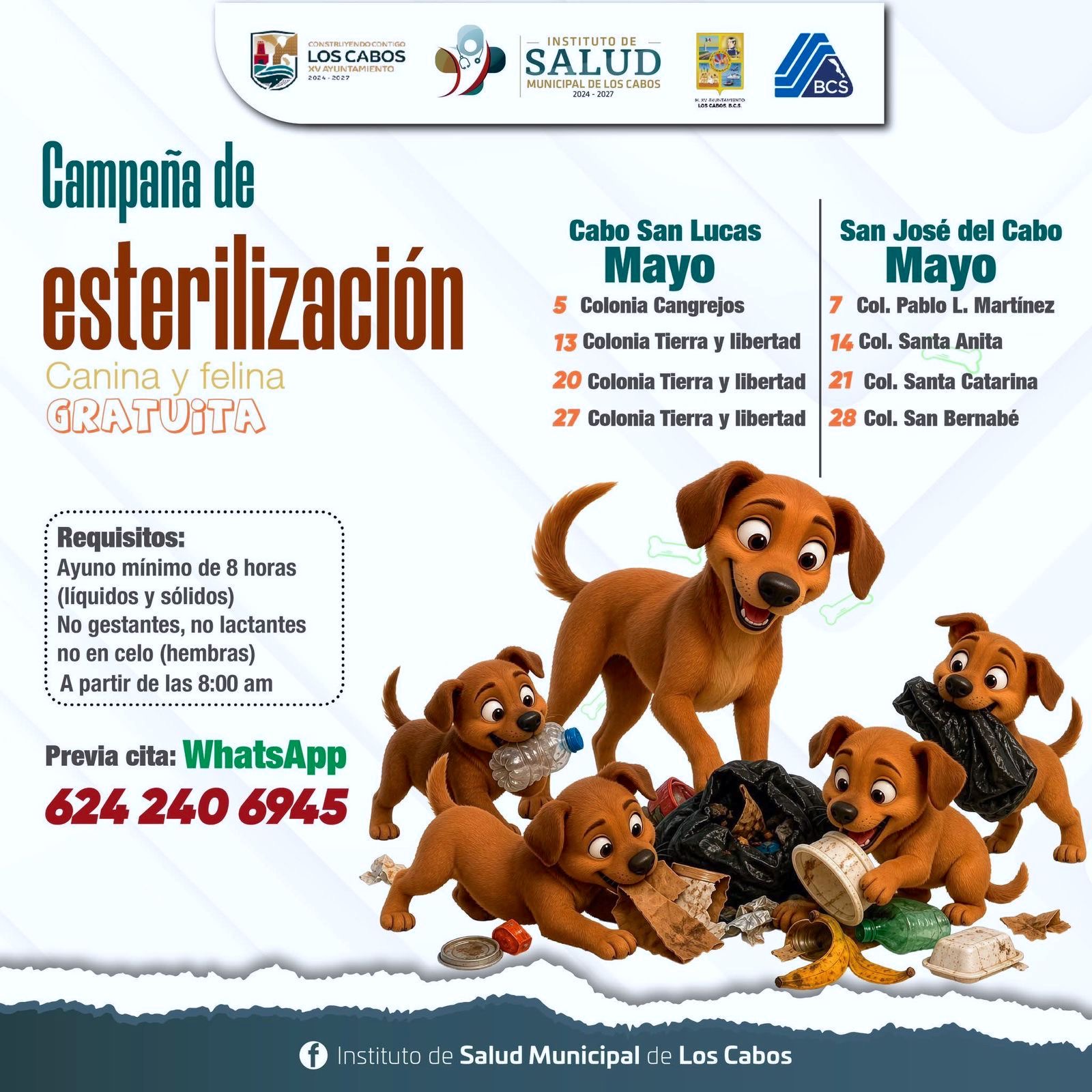 Gobierno de Los Cabos anuncia lugares y fechas del calendario de mayo para el bienestar animal