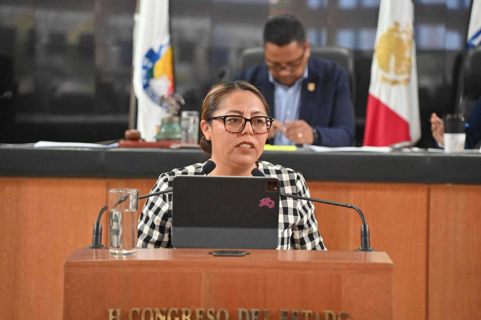 Fortalecer la transparencia y fiscalización interna en el Congreso de BCS: Diputada Teresita Valentín