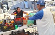 Gobierno Municipal brindó apoyos alimentarios a familias de la colonia Cabo Diamante en CSL