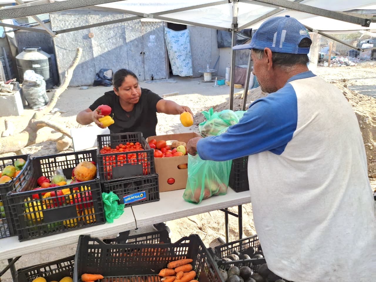 Gobierno Municipal brindó apoyos alimentarios a familias de la colonia Cabo Diamante en CSL