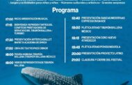 Conoce el programa del Homenaje al Tiburón Ballena en el Kiosco del malecón
