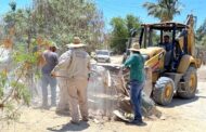 Retira Servicios Públicos más de 920 toneladas de ramas y cacharros en La Ballena Etapa 2