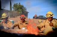 Bomberos de San José del Cabo se especializan en combate de incendios forestales